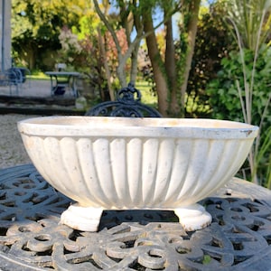 Peut inclure: Un pot de fleur cannelé, de couleur blanc cassé et de forme ovale. Le pot repose sur trois petits pieds en forme de piédestal. L'extérieur montre des signes d'usure, suggérant qu'il s'agit d'une pièce ancienne ou vintage. L'arrière-plan est une scène extérieure floue.