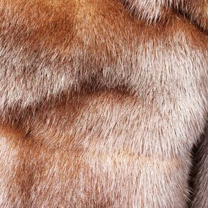 Natural Ranch Mink Coat image 3