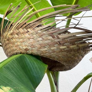 Puerto Rico Hat, I SHOULD SHOOT MORE PHOTOS, DTmF, Bad Bunny, Pava Boricua, Jibaro hat.