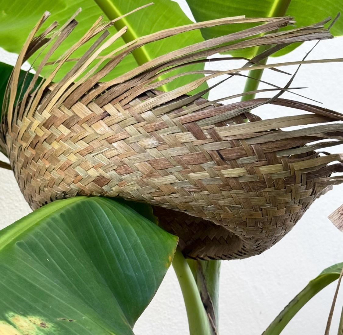 Puerto Rico Hat, I SHOULD SHOOT MORE PHOTOS, DTmF, Bad Bunny, Pava Boricua, Jibaro hat.