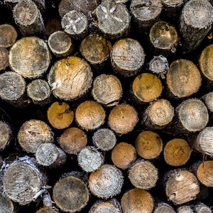 Puede incluir: Primer plano de una pila de troncos de madera apilados, mostrando los patrones naturales de la veta y las texturas de la madera. Los troncos están dispuestos en un patrón aleatorio, creando una estética visualmente interesante y rústica.