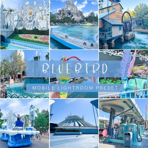 Bluebird Mobile Lightroom Preset, Lightroom Presets, mobile presets, Instagram presets, Lightroom mobile, influencer presets, photo presets