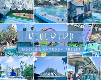 Bluebird Mobile Lightroom Preset, Lightroom Presets, mobile presets, Instagram presets, Lightroom mobile, influencer presets, photo presets