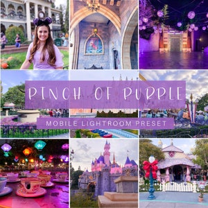Pinch of Purple Mobile Lightroom Preset, Lightroom Presets, mobile presets, Instagram presets, Lightroom mobile, influencer presets