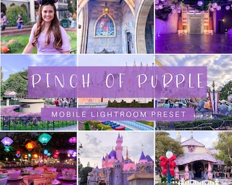 Pellizco de ajuste preestablecido de Lightroom móvil púrpura, ajustes preestablecidos de Lightroom, ajustes preestablecidos móviles, ajustes preestablecidos de Instagram, dispositivo móvil Lightroom, ajustes preestablecidos de influencia