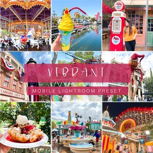 Vibrant Mobile Lightroom Preset, Lightroom Presets, mobile presets, Instagram presets, Lightroom mobile, influencer presets, photo presets