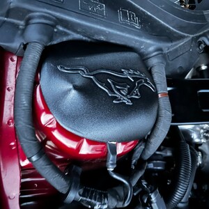 May include: Close-up of a black engine cover with a silver Ford Mustang logo. The cover is attached to a red engine compartment.
