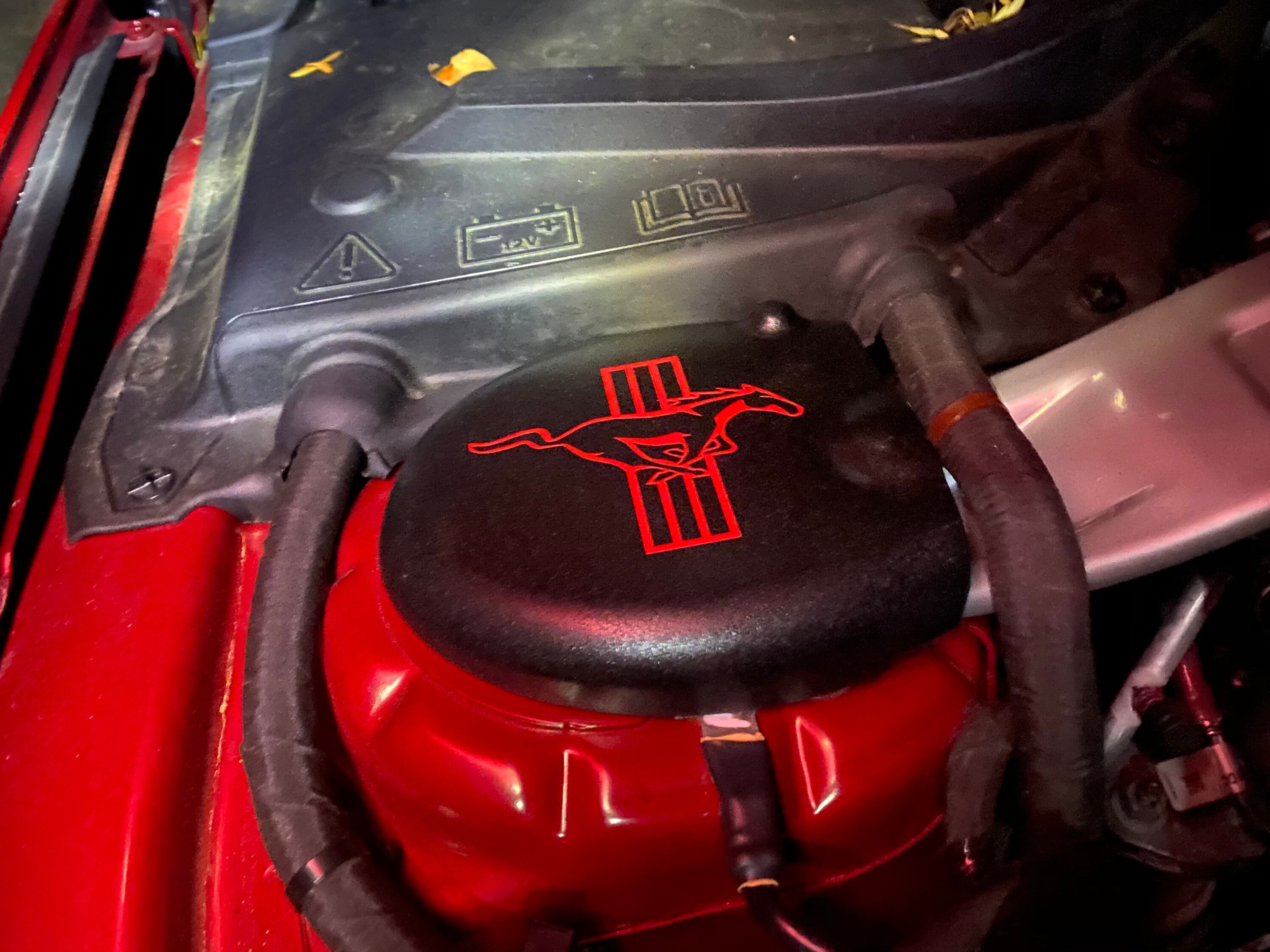 20152021 Mustang Strut Tower Covers Ponytribar Etsy