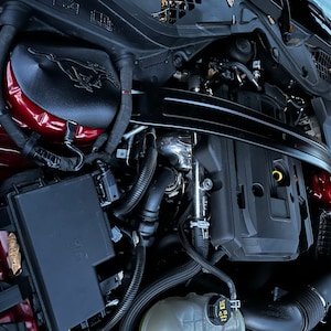 Op de afbeelding: Close-up van het motorcompartiment van een rode Ford Mustang. De motor is zichtbaar, samen met verschillende slangen en draden. De motordeksel is zwart met een zilveren Ford Mustang-logo.