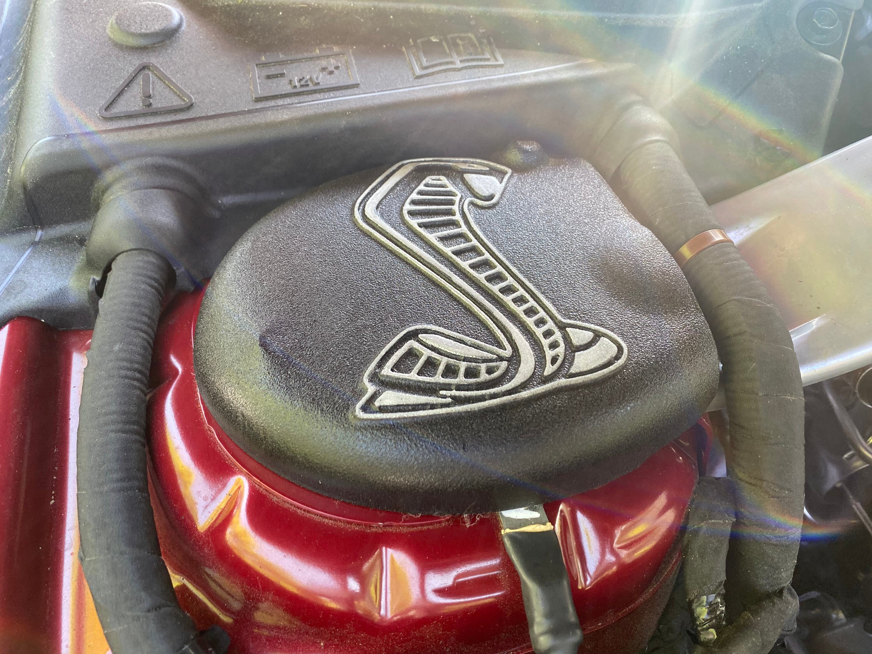 20162021 Mustang GT350 Strut Tower Covers embossed cobra Etsy