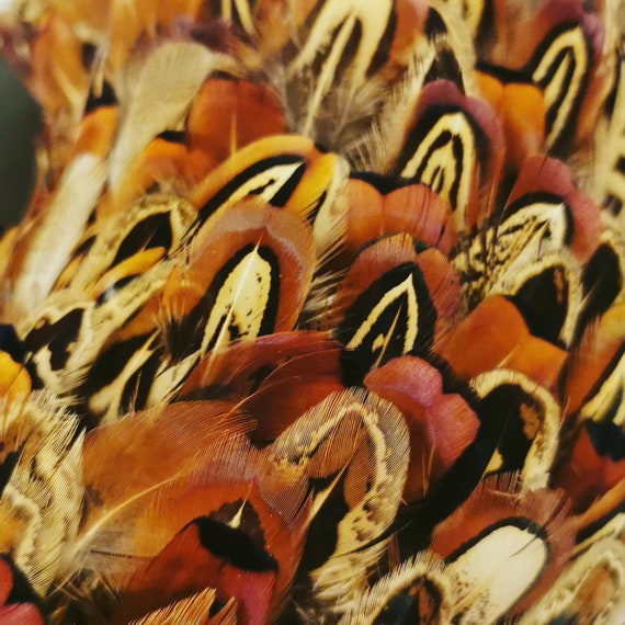 Centre De Table Couronne En Plumes De Faisan - Marron - Thème Chasse
