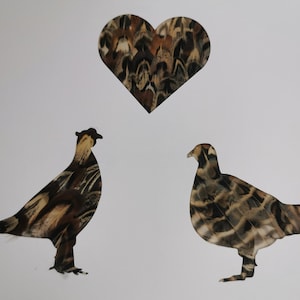 Cartão de dia dos namorados com coração de amor de faisão ou cartão de aniversário