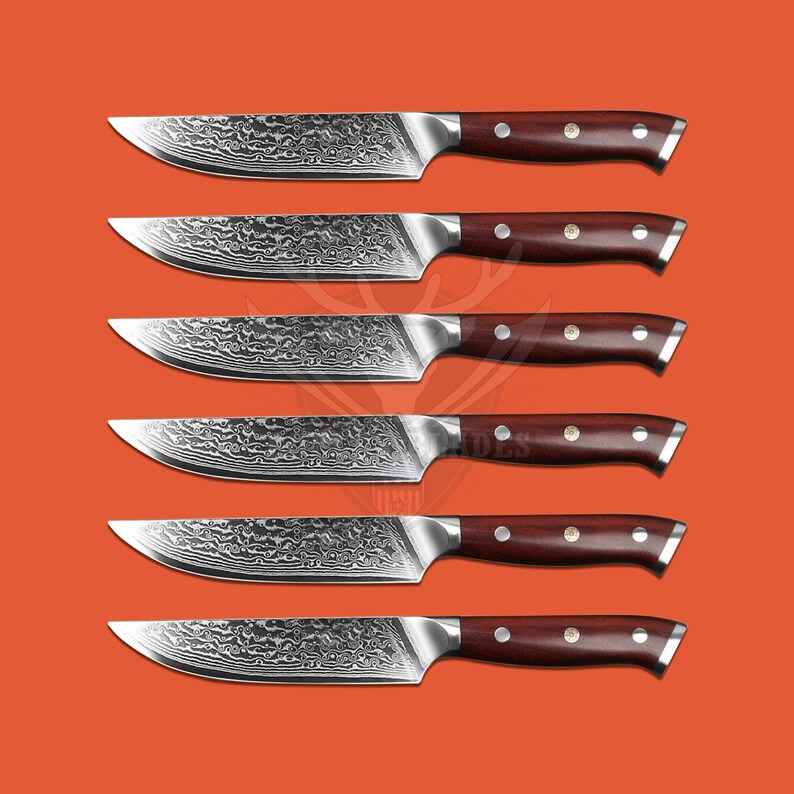 4 Pc Chef Knife Set Unique Gift Damascus Kitchen Knife Set Etsy