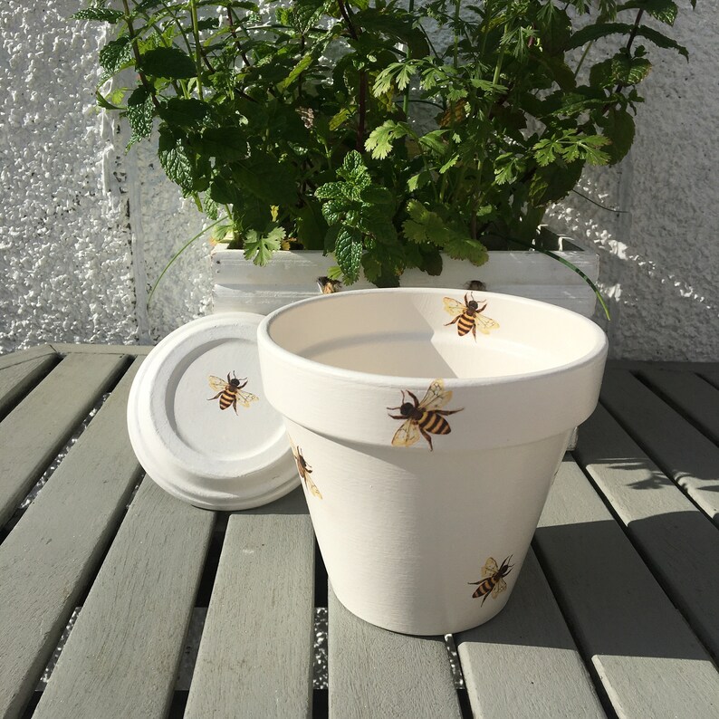 Bee Decoupaged Plant Pot, Indoor Planter, Gift For The Home image 1