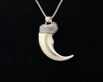 Colgante de garra de oso grizzly - Plata de ley