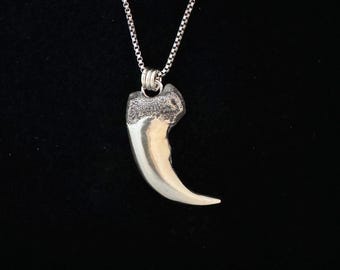 Colgante de garra de oso grizzly - Plata de ley