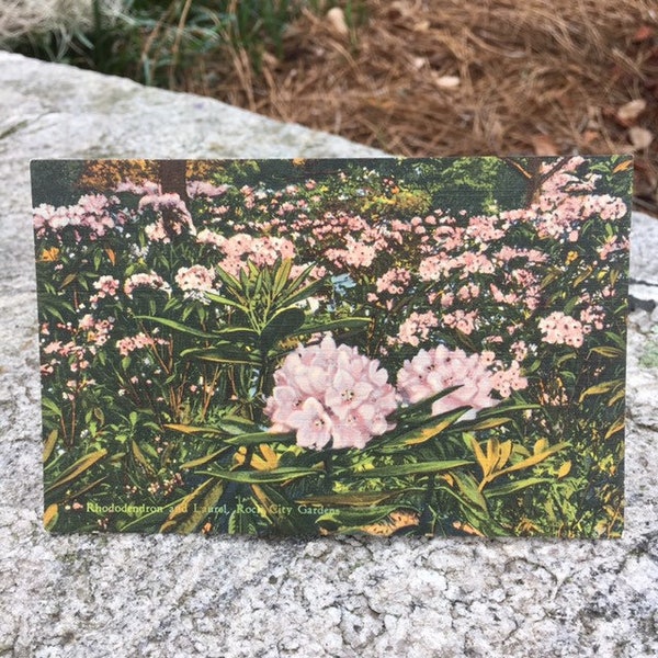 Rock City Gardens vintage postcard