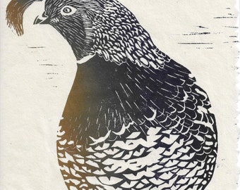 California Quail Linocut Print