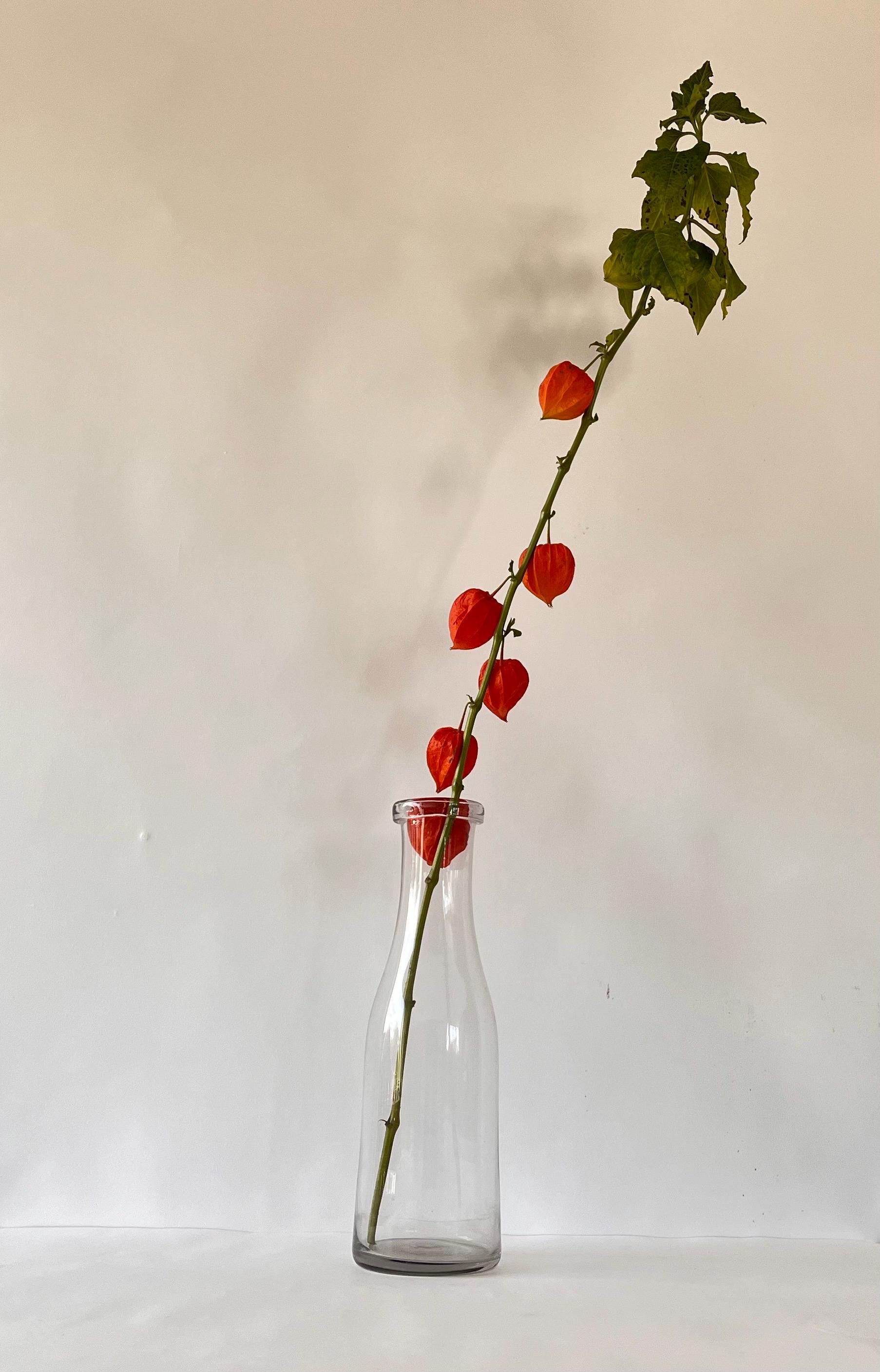 フランスアンティーク ガラス瓶 1880年 19世紀 ポット ボトル 薬瓶