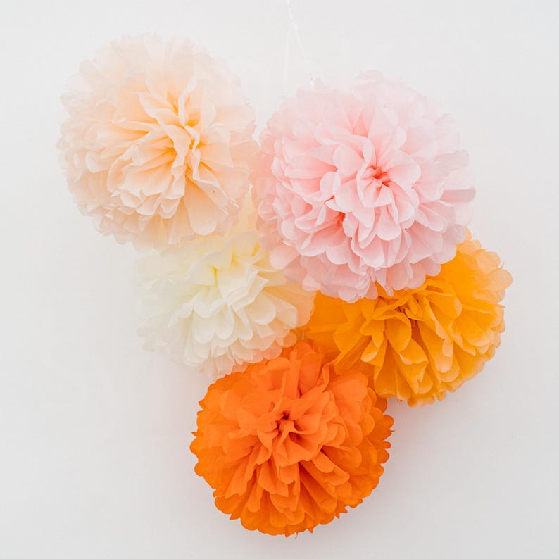 May include: A collection of six colorful tissue paper pom-poms in shades of peach, pink, yellow, and orange. These decorative paper flowers are suspended against a white background, ideal for party decorations or event decor.