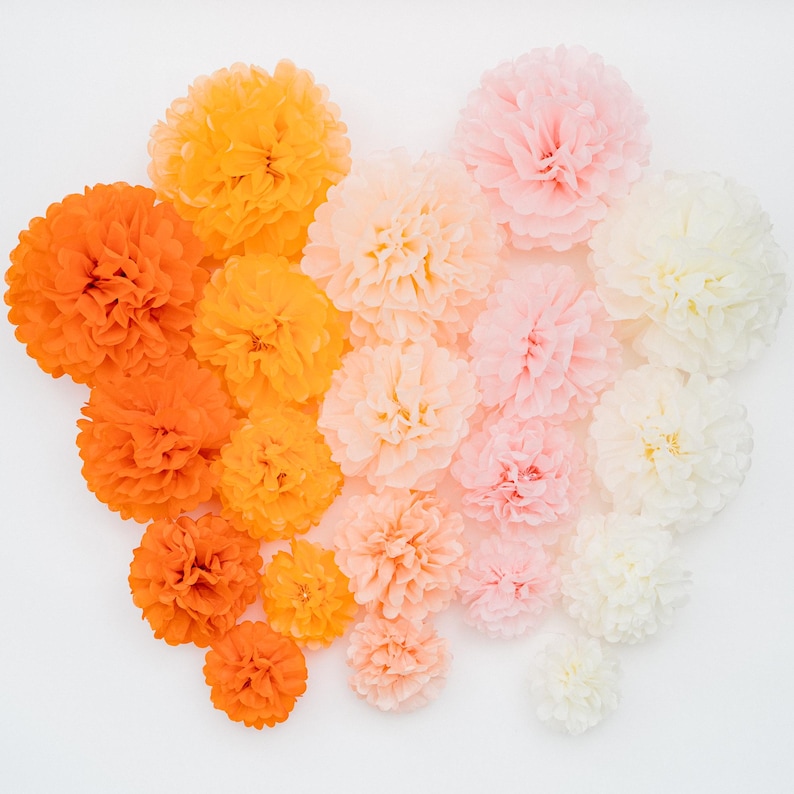 May include: An assortment of colorful tissue paper pom-poms in shades of orange, peach, pink, and white. The decorative paper flowers are arranged on a white background, creating a vibrant and festive display. Perfect for party decorations.