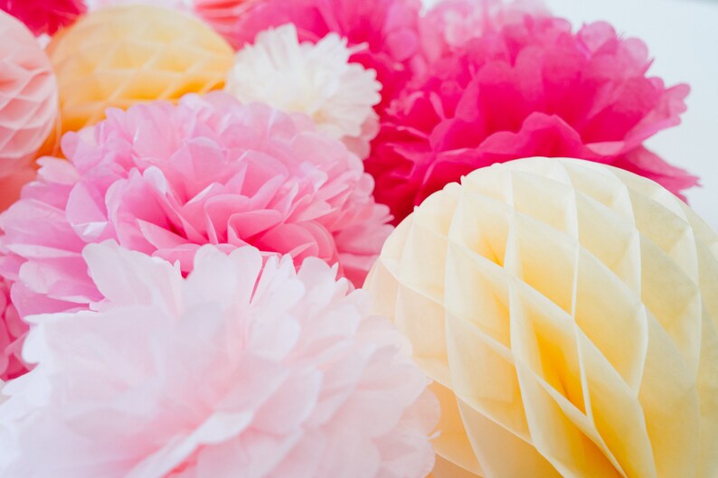 Deluxe Large Paper Fans Wall Decoration Set Set of 26 Birthday Party