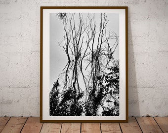 Tree Silhouettes Print, Minimalist Landscape, Black And White Photography, Trees In Water Wall Art, Mystical River Art Decor,Fine Art Poster