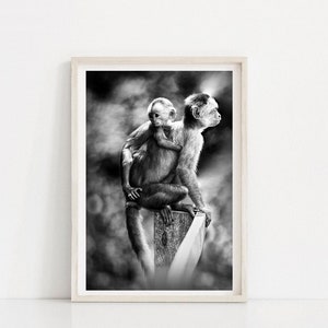 Pôster de macaco, estampa de animal da selva, decoração de animal selvagem, foto em preto e branco, fotografia de vida selvagem, decoração de parede de berçário, estampa de macaco bebê