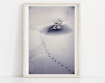 Winter Lake Photography Print: Minimalist Snow Landscape, Wild Animal Traces