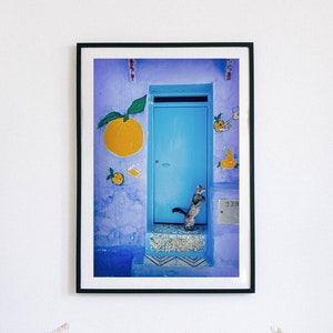 Chefchaouen Morocco Print: Blue City Cat Art Photography