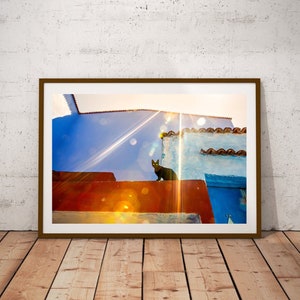 Black Cat Art Print: Chefchaouen Morocco Photo, Modern Wall Decor