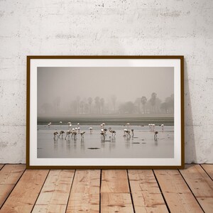Impresión de flamenco, Arte de pared costera, Impresión de playa oceánica, Flamenco rosa pastel, Fotografía de vida silvestre, Regalo para amantes de los animales, Póster de océano tropical