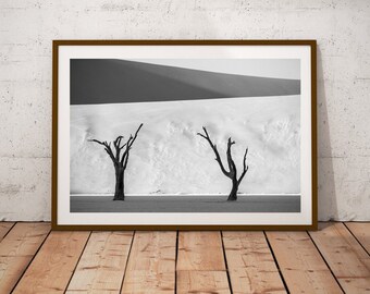 Puede incluir: Una fotografía en blanco y negro de dos árboles muertos de pie en un paisaje desértico. Los árboles están silueteados contra una duna de arena blanca.
