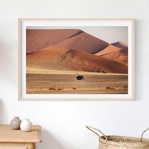 Namibia Wüste Print: Vogel Strauß, Naturfotografie