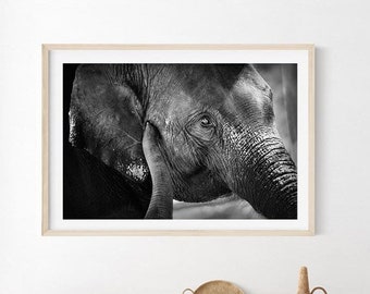 Elephant Photography Print, Mother's Love, Wildlife Art