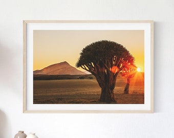 African Desert Tree Print, Quiver Tree Photography, Namibia Wall Art, Nature Poster, Fine Art Africa Landscape, Sunrise Photo, Travel Decor