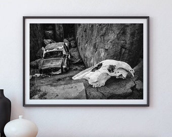 Tierschädel Kunstdruck: Schwarzweiße Gruselige Landschaft
