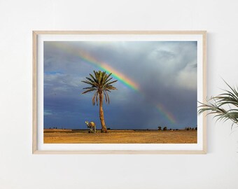 Rainbow Home Decor, Camel Art Print, Morocco Poster, Sahara Art, Desert Wall Art, Landscape, Fine Art Photography, Desert Caravan,Palm Tree