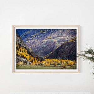 Herbstwald Poster, Altai Gebirge Poster, Farblandschaft, Fine Art Foto, Naturfotografie, Abenteuer Geschenk, Minimalistisches Dekor, Outdoor