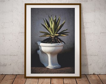 Lustige Toilette Kaktus Fotografie Druck, Badezimmer Wand Kunst (digitaler  Download) - Etsy.de
