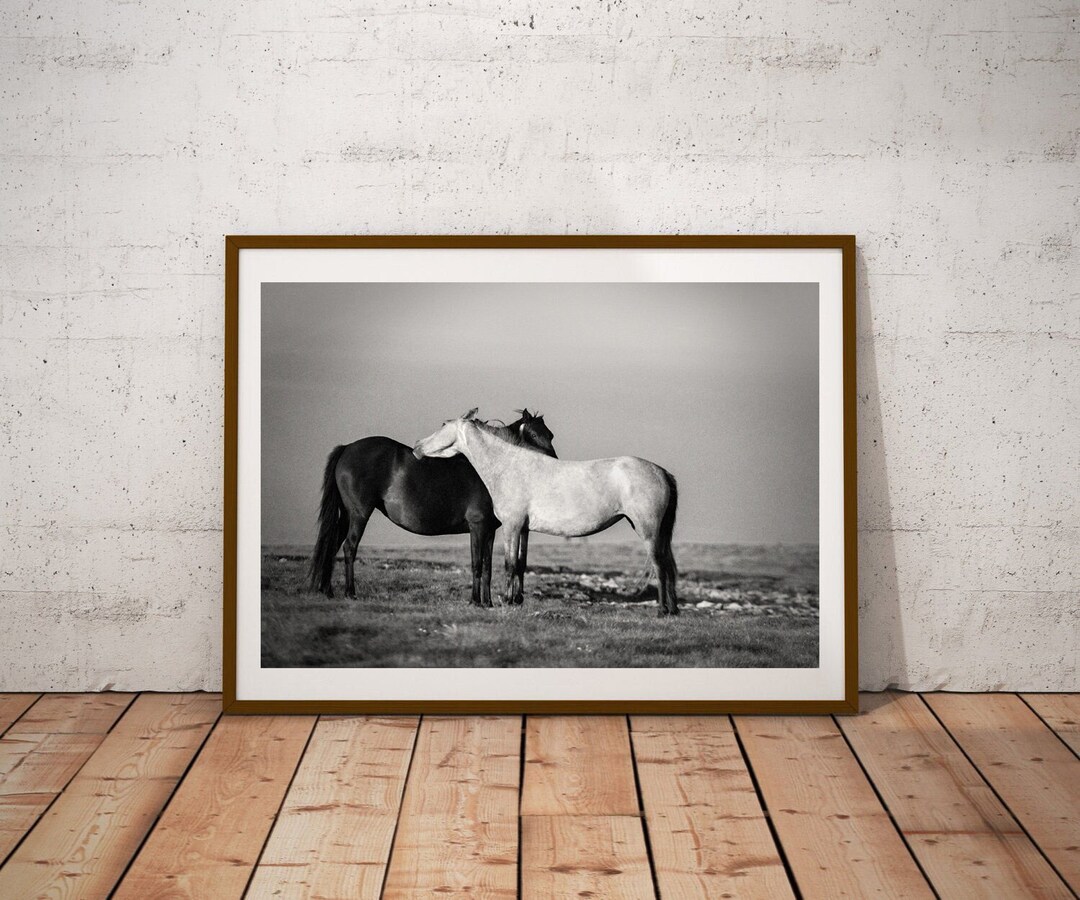 Wild Mustangs Black and White Photography Art Print - Etsy