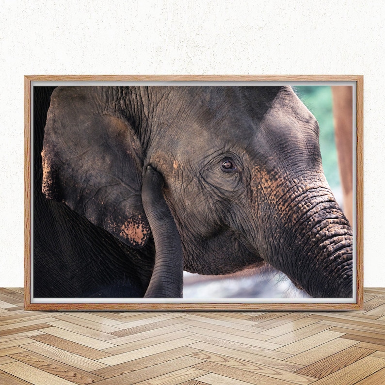 Mother Elephant Poster Mother/'s Love Wildlife Art Prints Large Animal Wall Art Animals Lover Gift Fine Art Photography Elephants Print
