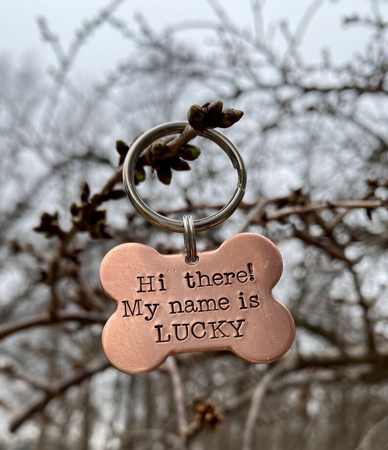 Personalized dog tag hand stamped pet ID name tag Hi there