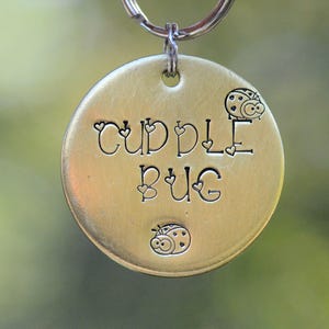 Puede incluir: Una placa redonda dorada para mascotas con las palabras "Cuddle Bug" grabadas en una fuente caprichosa. La placa presenta dos ilustraciones de mariquitas. Un llavero plateado está adjunto en la parte superior.