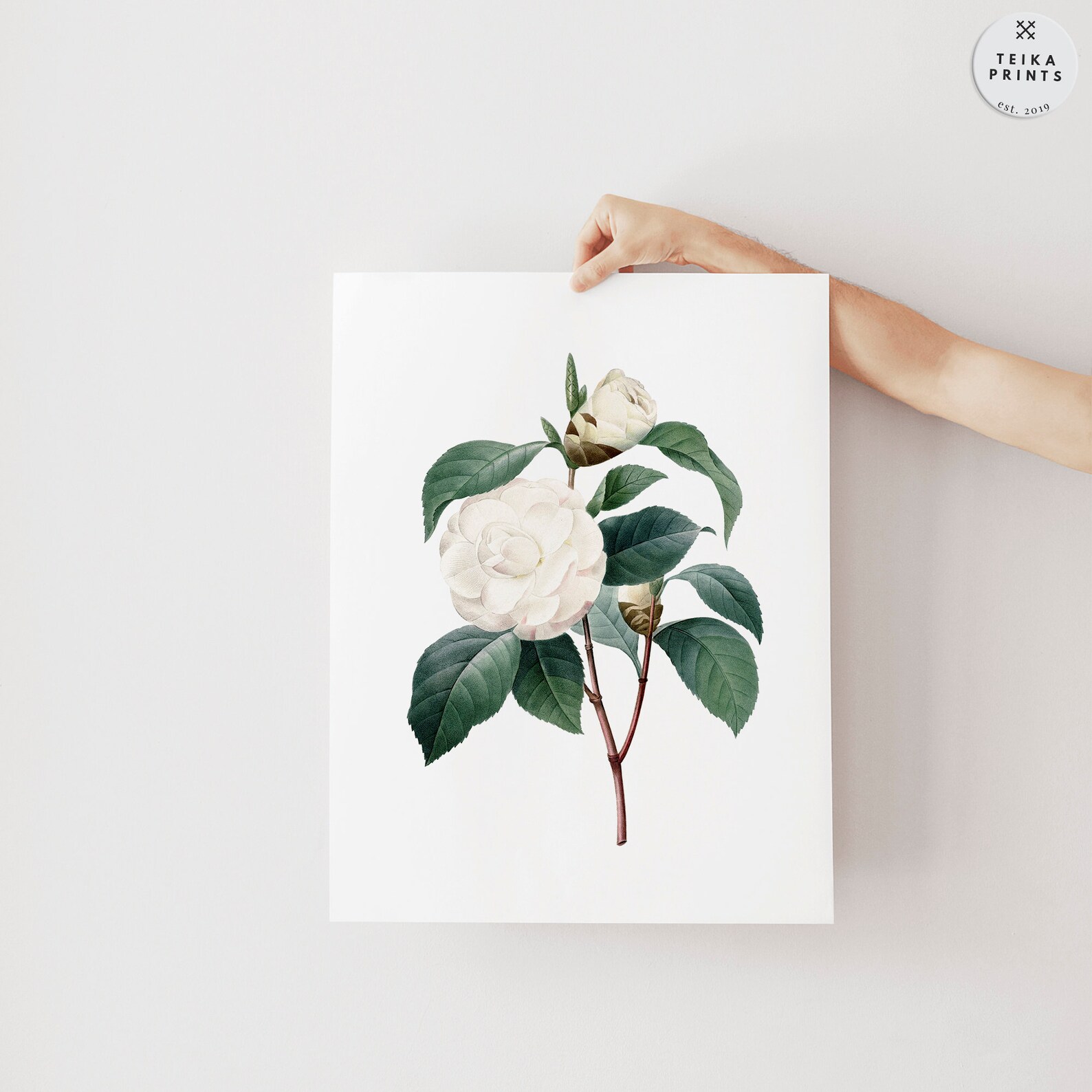 Vintage White Flowers Wall Art Prints Set of 6 / Botanical Floral Wall ...