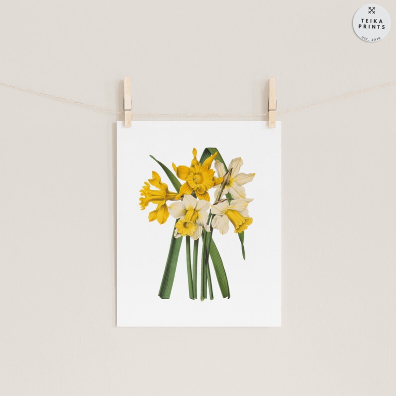 Vintage Yellow Flowers Wall Art Prints Set of 6 / Botanical Floral Wall ...