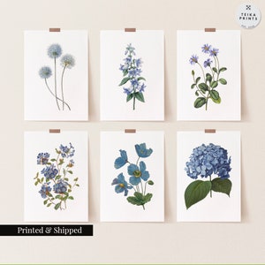 Vintage Blue Flowers Wall Art Prints Set of 6 / Botanical Floral Wall Art Decor / Minimal Aesthetic Prints / Great Gift Idea / FL03