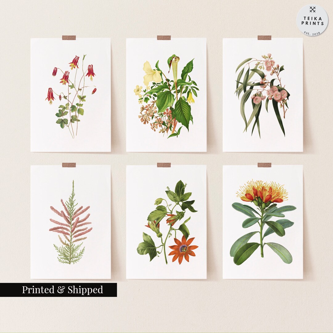 Vintage Wild Flowers Wall Art Prints Set of 6 / Botanical Floral Wall ...