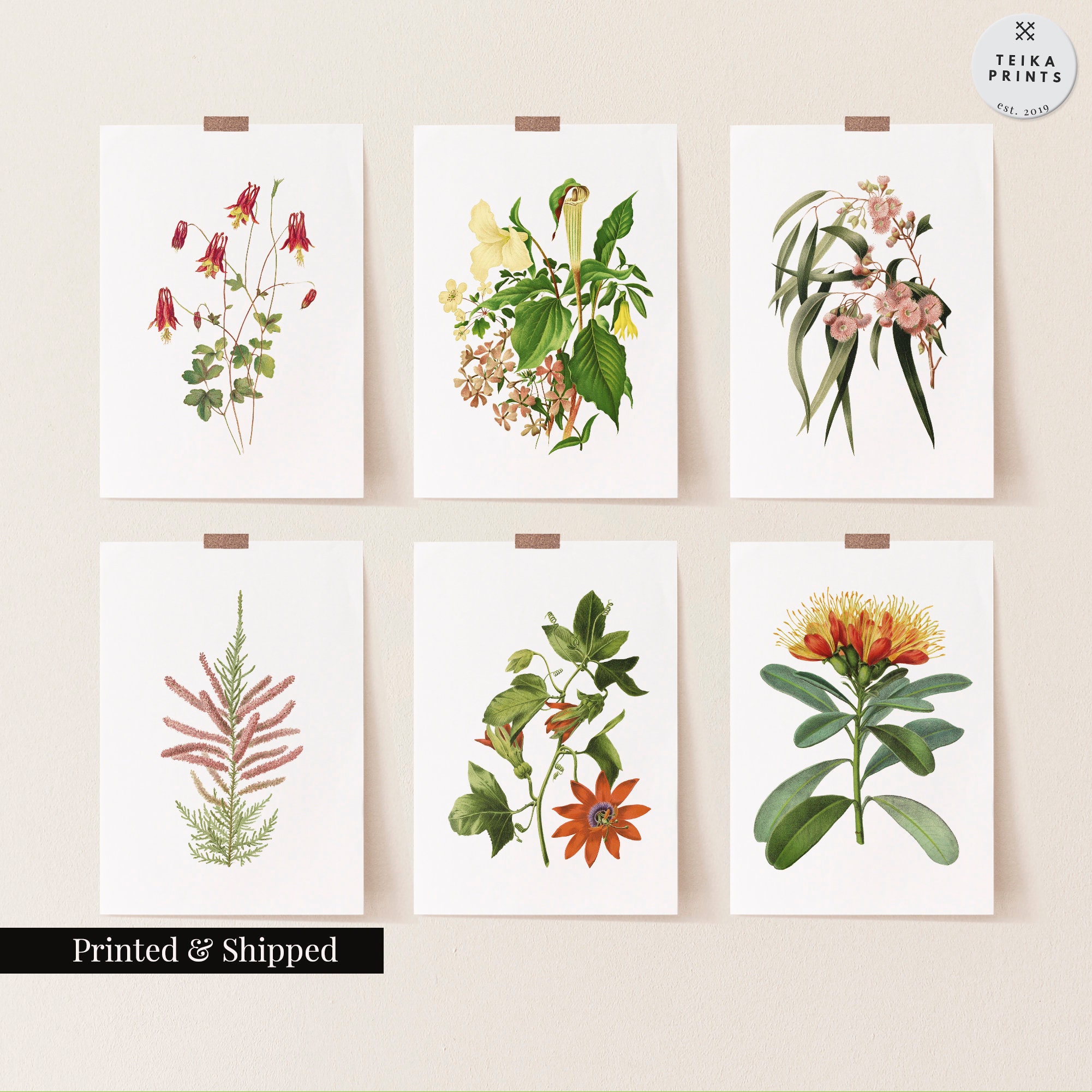 Vintage Wild Flowers Wall Art Prints Set of 6 / Botanical Floral Wall ...