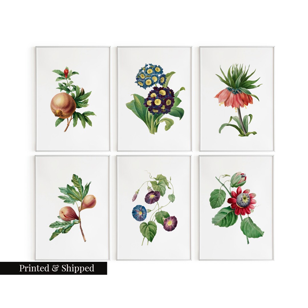 Vintage Flower Mix Wall Art Prints Set of 6 / Botanical Floral Wall Art ...